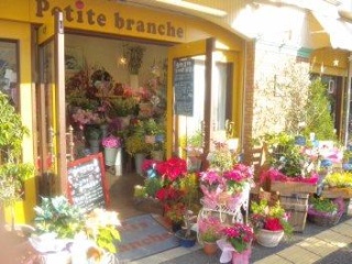 ｐｅｔｉｔｅ ｂｒａｎｃｈｅ 堺市東区丈六のお花屋さん イーフローラ フラワーギフトや花の宅配 送料無料も多数