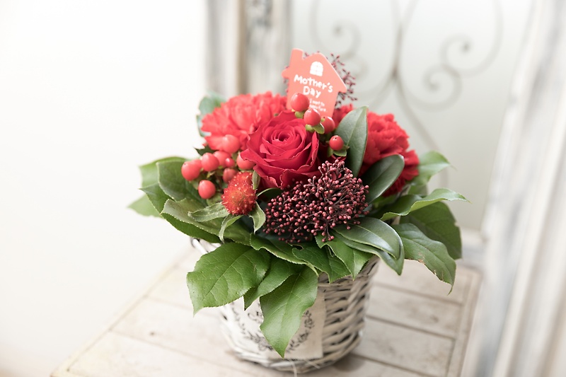 母の日の定番！赤のカーネーション<キュートママ＞｜お花屋さん「ｇｒａｃｉａ ｆｌｏｗｅｒｓ」の母の日のお花