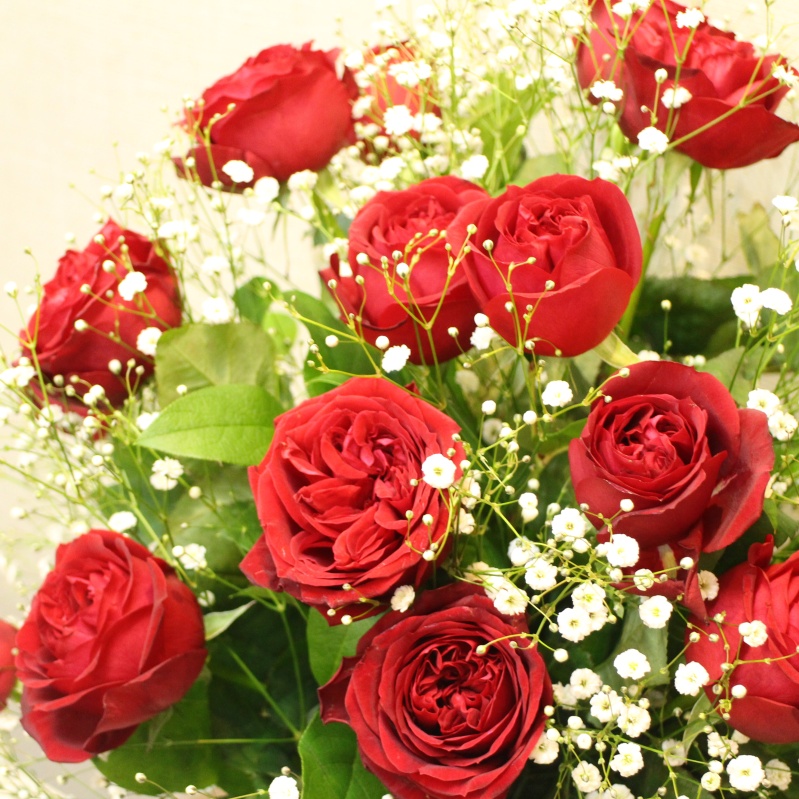 赤いバラとカスミソウの花束 ガーデニングプラザ 花らんど イーフローラ フラワーギフトや花の宅配 送料無料も多数