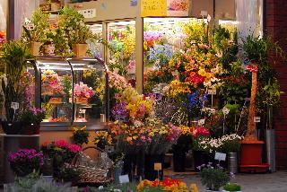 花の店 さくら 大阪市北区中津のお花屋さん イーフローラ フラワーギフトや花の宅配 送料無料も多数