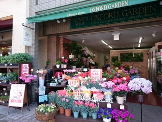 フラワーショップオックスフォードガーデン 茨木市春日のお花屋さん イーフローラ フラワーギフトや花の宅配 送料無料も多数