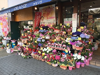 フラワーショップ クランツ 大阪市旭区新森のお花屋さん イーフローラ フラワーギフトや花の宅配 送料無料も多数