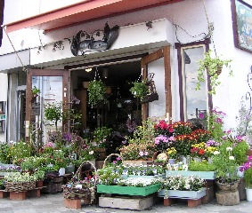 おしゃれな花束がいろいろ 西宮北口にあるおすすめのお花屋さんはここ Pathee パシー