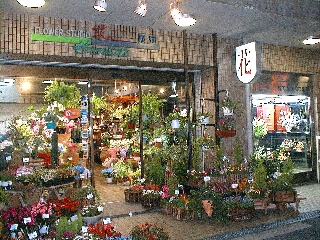 花紀行 東大阪市菱屋東のお花屋さん イーフローラ フラワーギフトや花の宅配 送料無料も多数