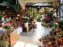 「（株）エブリディ」姫路市西新在家のお花屋さん｜花を贈るならお花屋さんネットワーク「イーフローラ」