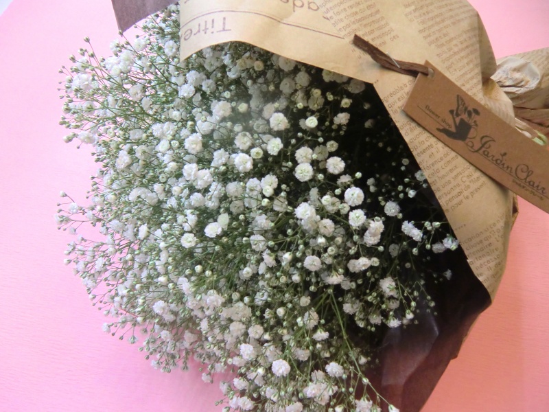 Baby S Breath ｊａｒｄｉｎ ｃｌａｉｒ イーフローラ フラワーギフトや花の宅配 送料無料も多数