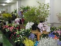 「（有）駅前花市」豊岡市寿町のお花屋さん｜花を贈るならお花屋さんネットワーク「イーフローラ」