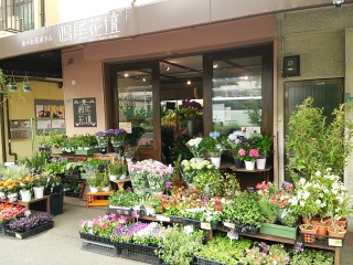 街のお花屋さん 鳴尾花壇 西宮市鳴尾町のお花屋さん イーフローラ フラワーギフトや花の宅配 送料無料も多数