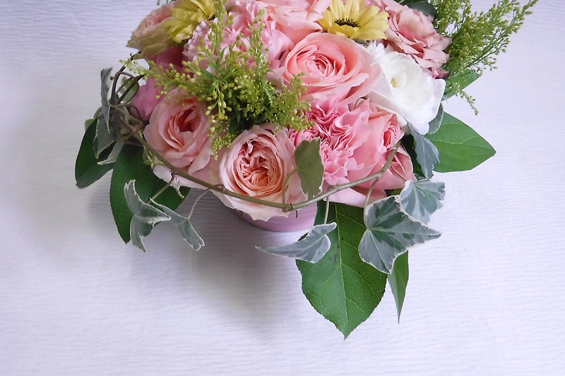 arrangement@sNbԉuLЏԉ {Ёv̂