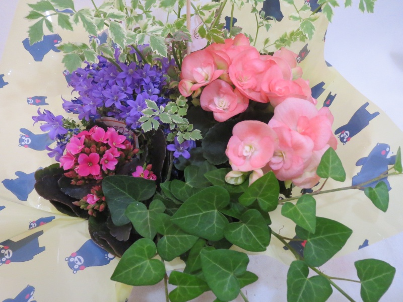 母の日☆キュートな花カゴ｜お花屋さん「（有）フラワーショップ キャンパス」の母の日のお花