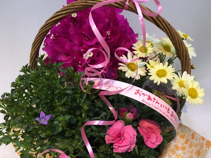 母の日☆キュートな花カゴ｜お花屋さん「（有）フラワーショップ キャンパス」の母の日のお花