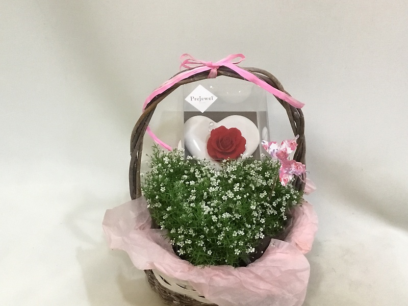 カスミ草ハート｜お花屋さん「（有）フラワーショップ キャンパス」の母の日のお花