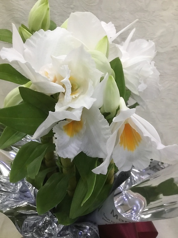 ホーミー(蘭)｜お花屋さん「（有）フラワーショップ キャンパス」の母の日のお花