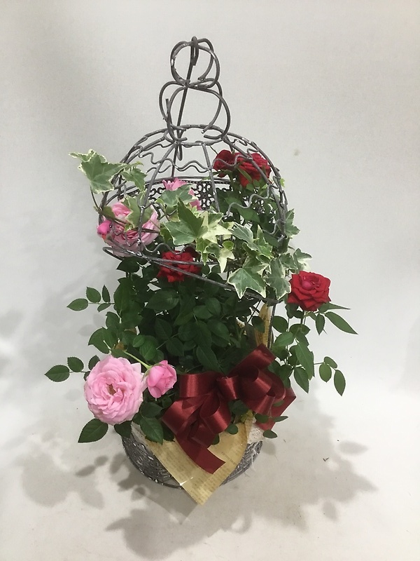 バラ鉢 吊るせる鳥かご（ピンク系）｜お花屋さん「（有）フラワーショップ キャンパス」の母の日のお花