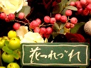 「花つれづれ」姫路市別所町のお花屋さん｜花を贈るならお花屋さんネットワーク「イーフローラ」