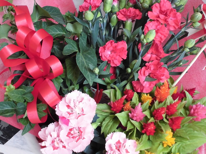 母の日カーネーション入り寄せ鉢｜お花屋さん「フラワーショップなかにし」の母の日のお花