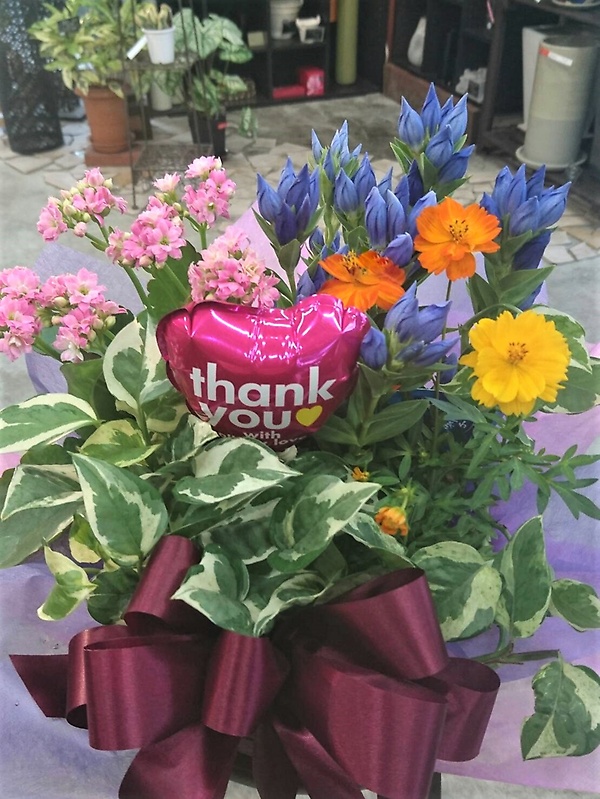 Flower Basket`Thank Youbԉut[p[N PHXv̂