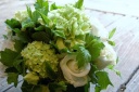 green & white arrangement