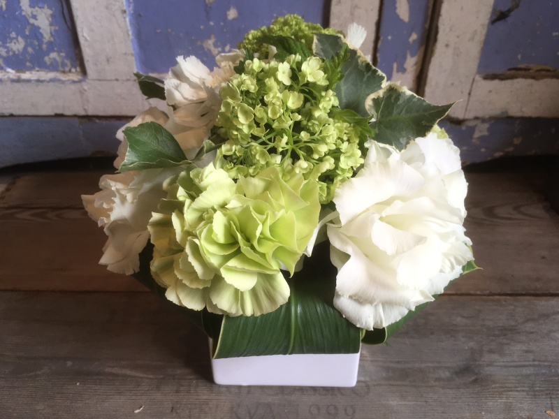 White&Green Arrangement Ubԉu v̓̂̕