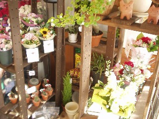 フラワーコンパス 西宮市長田町のお花屋さん イーフローラ フラワーギフトや花の宅配 送料無料も多数
