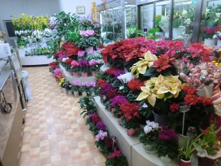 風花 神戸市須磨区北落合のお花屋さん イーフローラ フラワーギフトや花の宅配 送料無料も多数