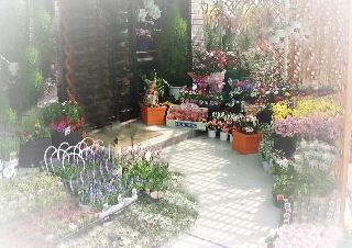 もりはなてん 和歌山市田屋のお花屋さん イーフローラ フラワーギフトや花の宅配 送料無料も多数