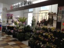 「とうま生花店 Ｅｎｙａ Ｓｔｕｄｉｏ」出雲市塩冶町のお花屋さん｜花を贈るならお花屋さんネットワーク「イーフローラ」