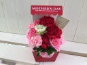 Mother's Day3000