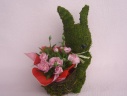 Plant Moss Rabbit@Pink
