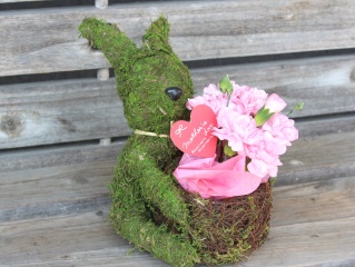 Plant Moss Rabbit@Pink