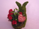 Plant Moss Rabbit Red@@