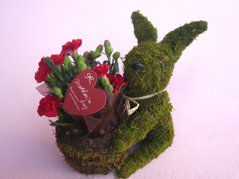 Plant Moss Rabbit Red@@bԉut[Xg݁v̓̂̕