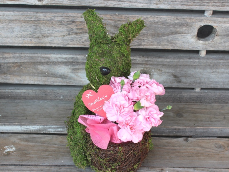 Plant Moss Rabbit Pink@@@bԉut[Xg݁v̓̂̕