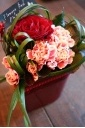 FlowerRed@Valentine