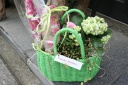 RoomshoesFlowerBasket