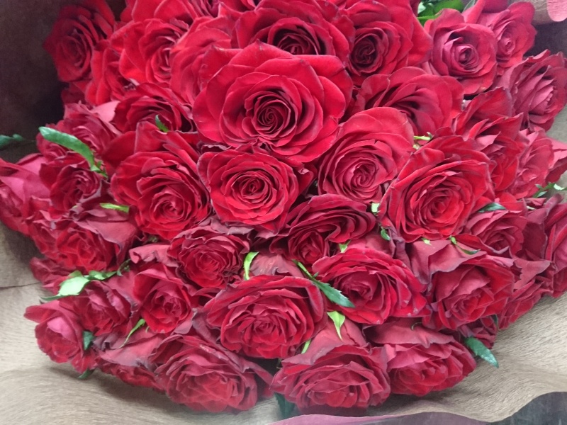 amazing bouquet of roses!bԉuq fv̂