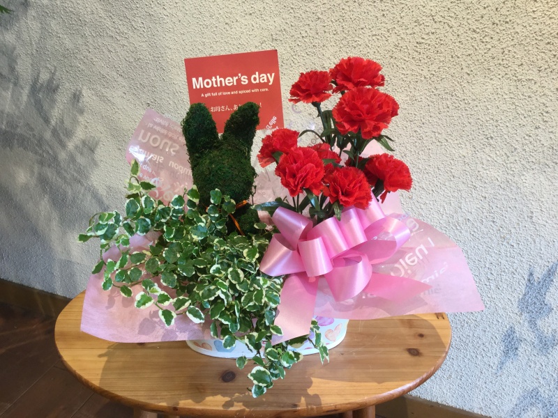 Mother'sDay@ꂳ񂠂肪ƂMtgbԉut[p[N Xv̓̂̕