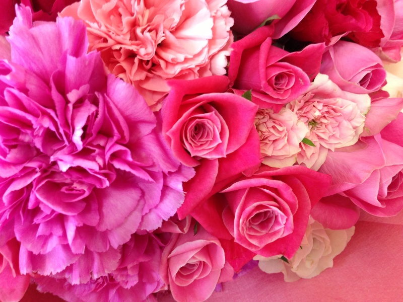 ピンクグラデーション・バラの花束（ブーケタイプ）｜お花屋さん「フレーバーハウス 長住店」のお花