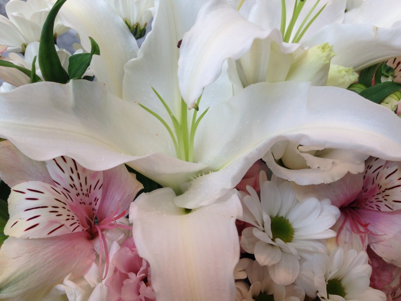 ホワイト・ピンク・ユリの御供えアレンジメント｜お花屋さん「フレーバーハウス 長住店」のお花