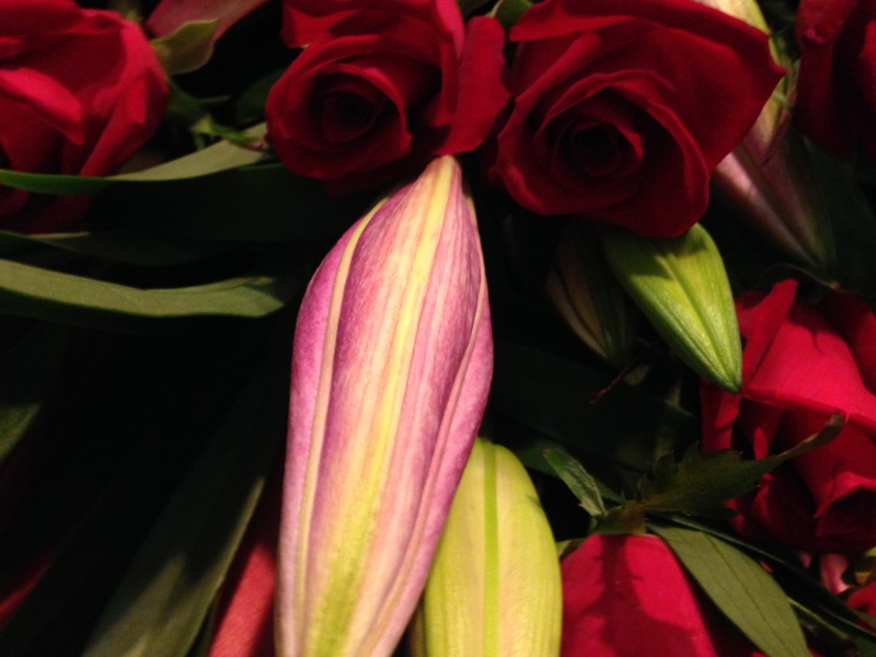 赤バラ・ピンクユリのゴージャス花束｜お花屋さん「フレーバーハウス 長住店」のお花