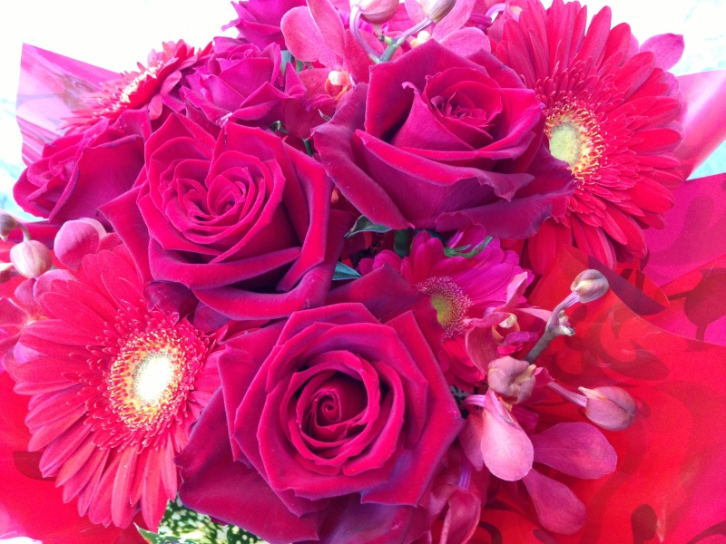 赤バラのグラデーションラッピングアレンジメント｜お花屋さん「フレーバーハウス 長住店」のお花