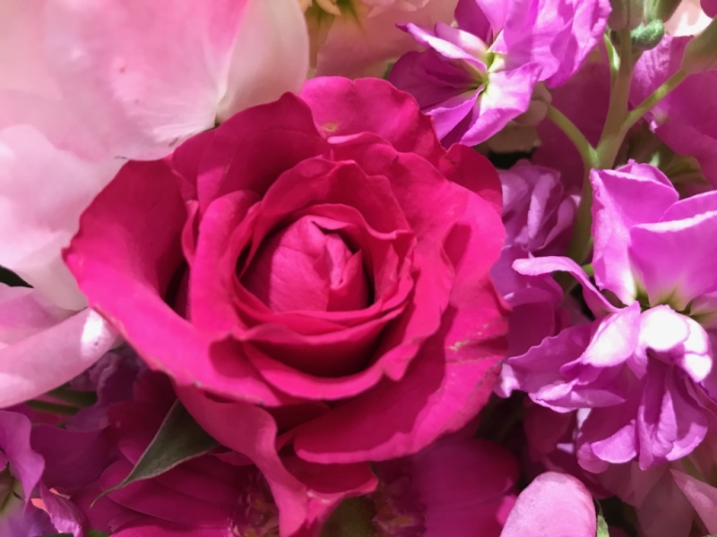 バラのピンクギフトアレンジメント｜お花屋さん「フレーバーハウス 長住店」のお花