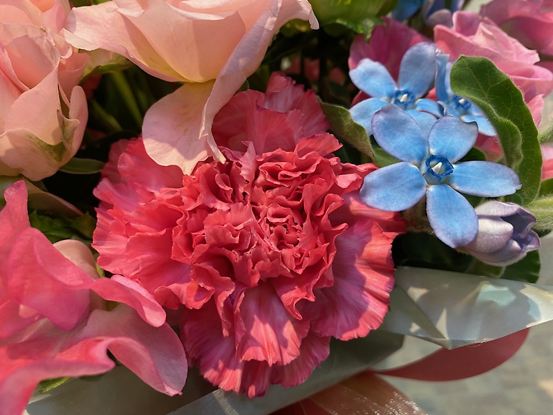 ピンク・ライトブルーのmixカラーギフトアレンジ｜お花屋さん「フレーバーハウス 長住店」のお花