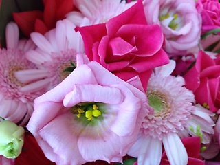 優しいピンクのグラデーション花束（ブーケタイプ）