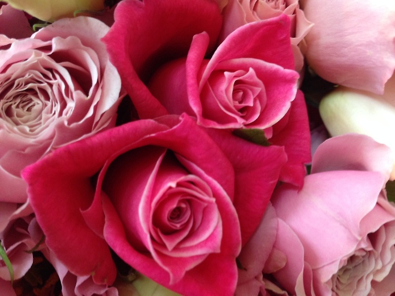 ピンクグラデーションカラーの花束｜お花屋さん「フレーバーハウス 長住店」のお花