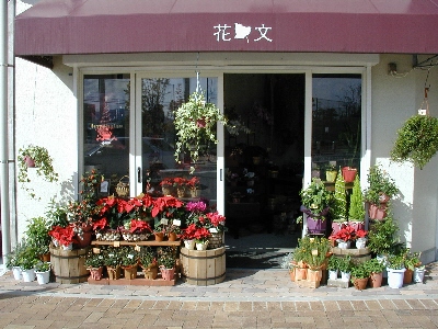 花文 福岡市西区姪浜駅南のお花屋さん イーフローラ フラワーギフトや花の宅配 送料無料も多数