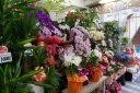 「あらせ花壇」福岡市博多区南本町のお花屋さん｜花を贈るならお花屋さんネットワーク「イーフローラ」