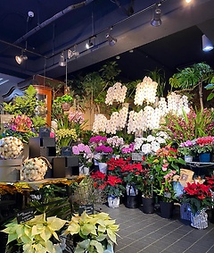 フラワーギャラリー オランダヤ 長崎市魚の町のお花屋さん イーフローラ フラワーギフトや花の宅配 送料無料も多数