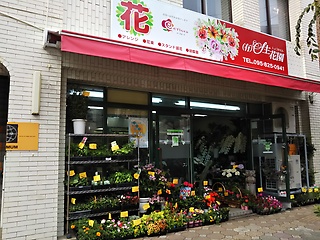 有限会社 生花園 長崎市新大工町のお花屋さん イーフローラ フラワーギフトや花の宅配 送料無料も多数