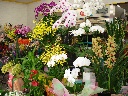フラワーショップ 花いく 北松浦郡佐々町羽須和免のお花屋さん お店の紹介 イーフローラ フラワーギフトや花の宅配 送料無料も多数